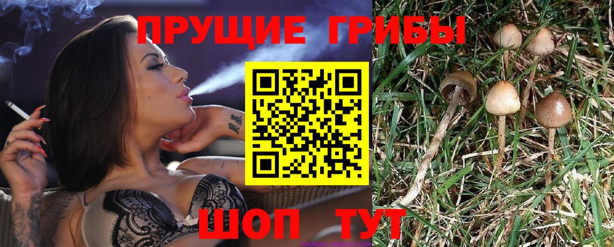 Псилоцибиновые грибы мухоморы Михайловка