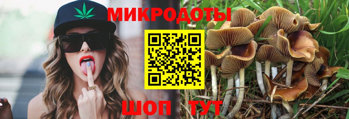 Михайловка  Галлюциногенные грибы MAGIC MUSHROOMS  Вход с VPN 